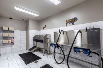 Pet-friendly community with paw spa for pampering your pet